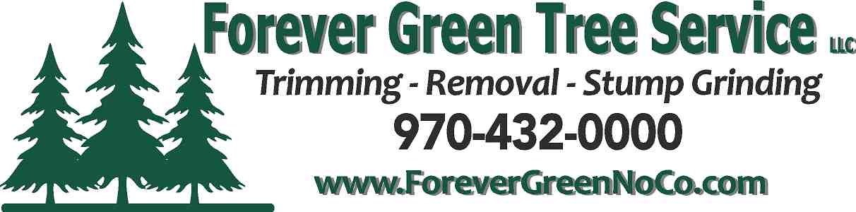 Forever Green Tree Service